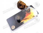 ASP 54110 "Brass US ARMY Insignia" 美国陆君标志甩棍尾盖