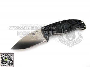 Spyderco 蜘蛛 FB31PBK Enuff Leaf VG-10 FRN 柄“直”