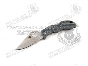 Spyderco 蜘蛛 LFGP3 Ladybug3 Foliage Green FRN 小瓢虫3代“折”
