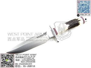 Blackjack 海盗旗 16S 